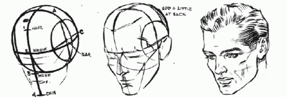 997x340 Modeling A Loomis Head In Rhino - Head Drawing Reference