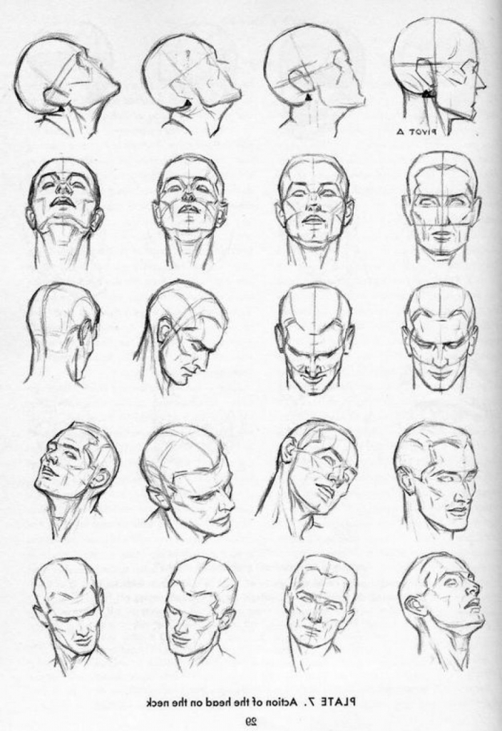 Head Drawing Reference at PaintingValley.com | Explore collection of ...