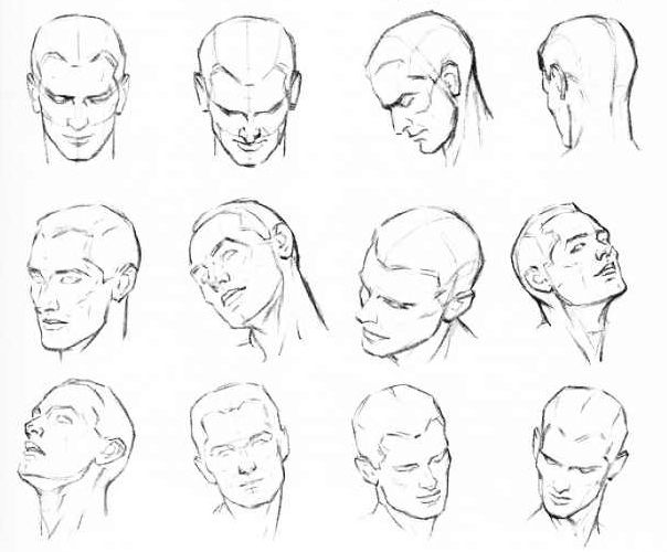 Head Drawing Reference at PaintingValley.com | Explore collection of ...