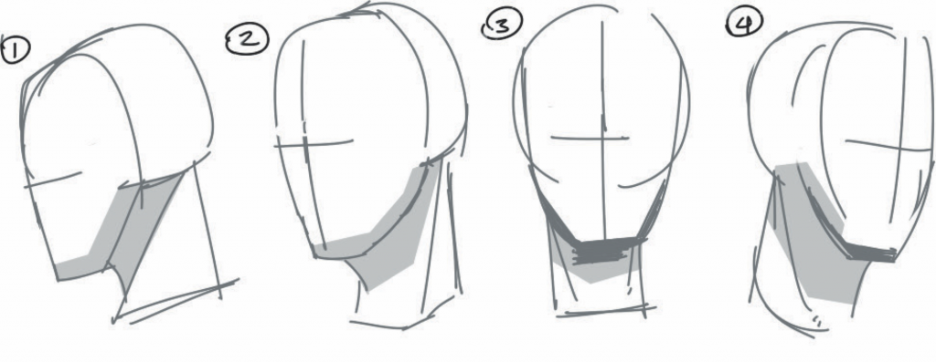 1024x397 Drawing Character Heads And Animating Them - Head Drawing Tutorial