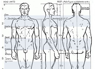 324x235 Figure Drawing - Head Figure Drawing