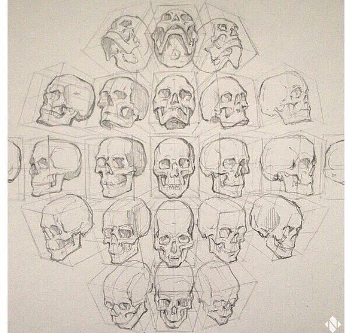 720x680 Figure Drawing Head Positions Art - Head Figure Drawing