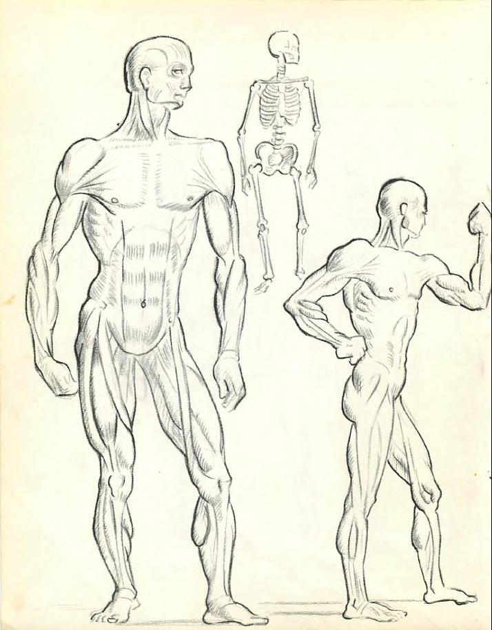 714x914 How To Draw The Human Figure Drawing Body, Head, Facial Features - Head Figure Drawing