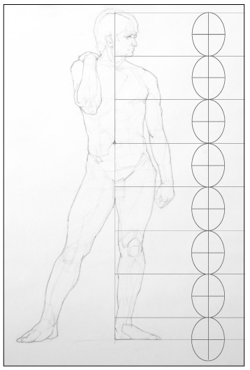 358x530 Paint Draw Paint, Learn To Draw Drawing Basics Proportions - Head Figure Drawing