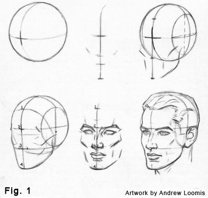 425x405 Anatomical Approach To Figure Drawing The Basics Can Be Enough - Head Figure Drawing