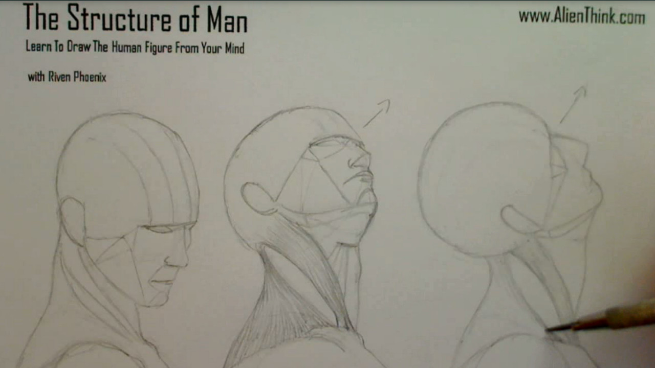 1280x720 Complete Figure Drawing Course Hd On Steam - Head Figure Drawing