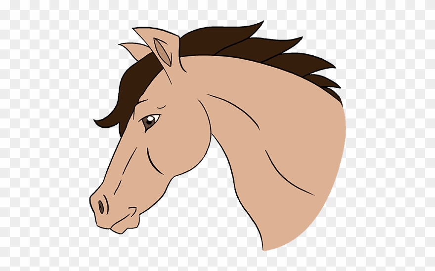 880x549 Horse Head Cartoon - Head Horse Drawing