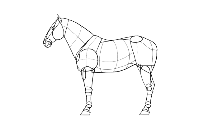 700x391 How To Draw Horses Step - Head Horse Drawing
