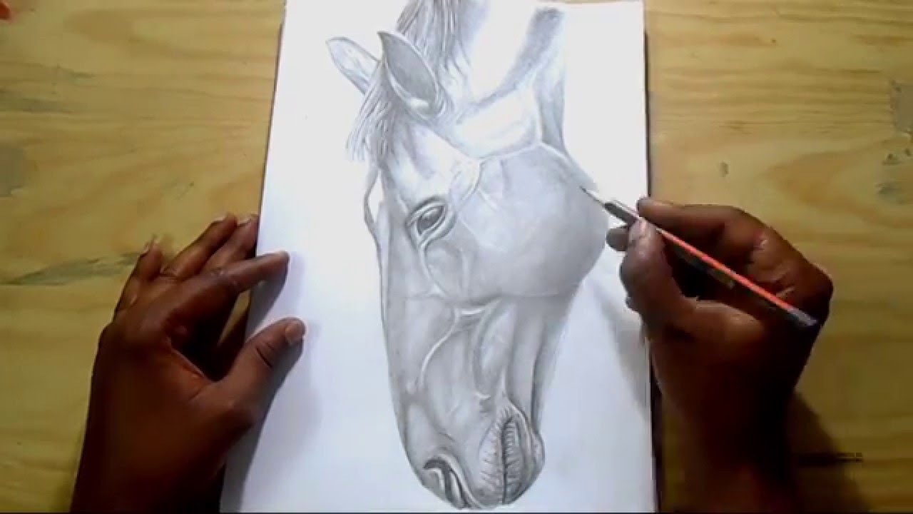 1280x720 How To Draw Horse How To Draw Horse Head How To Draw Horses - Head Horse Drawing