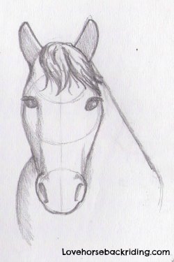 250x375 Draw A Horse Head - Head Horse Drawing