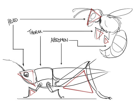 440x344 Part Two Constructional Drawing Lesson - Head Line Drawing