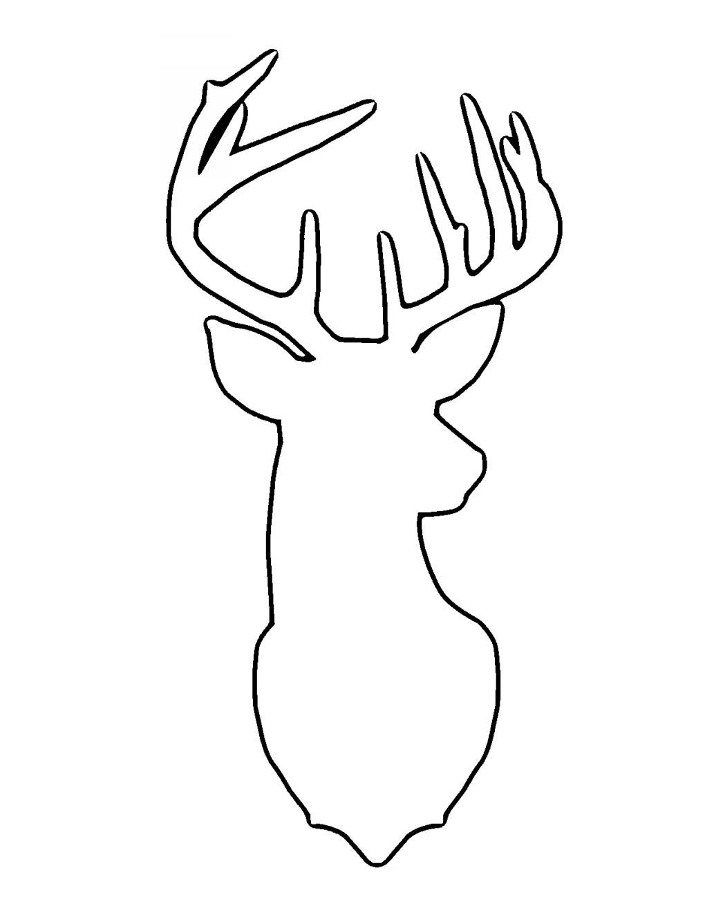 Head Outline Drawing