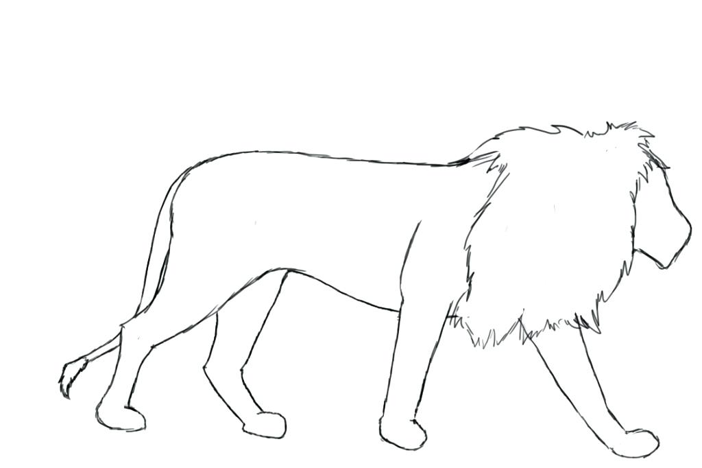 1024x682 Lion Outline Clip Art Free Vector In Open Office Drawing Face - Head Outline Drawing