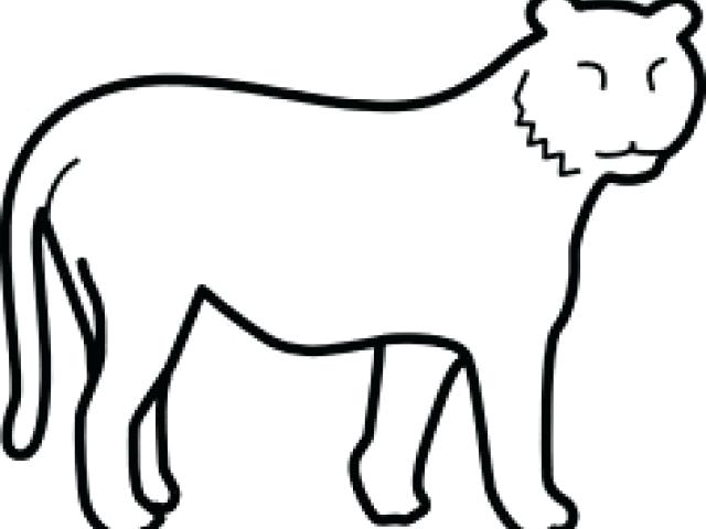 640x480 Tiger Outline Drawing Tiger Pictures To Color Free Printable Tiger - Head Outline Drawing