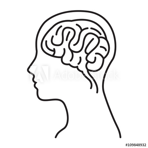 500x500 Women Brain Head Illustration Women Brain Head Outline Draw - Head Outline Drawing