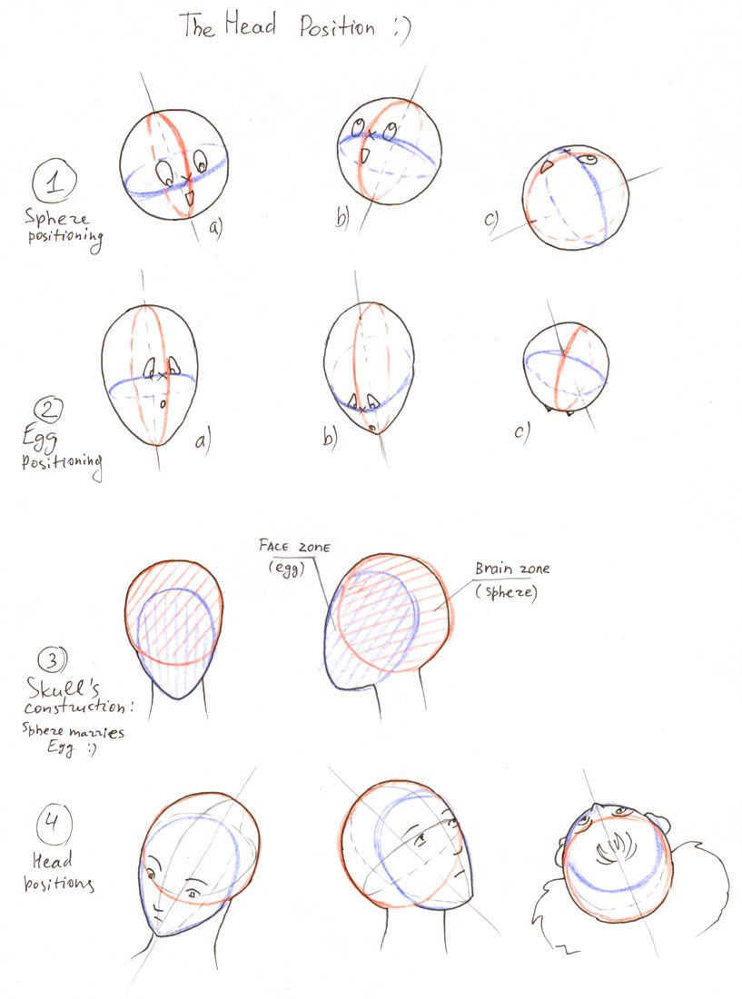 817x1100 Head Position For Drawing - Head Positions Drawing