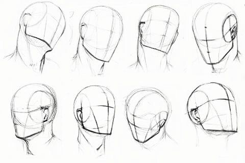 480x320 Head Drawing From Different Positions - Head Positions Drawing