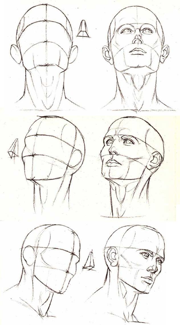 632x1140 Head Position Reference Guide - Head Positions Drawing
