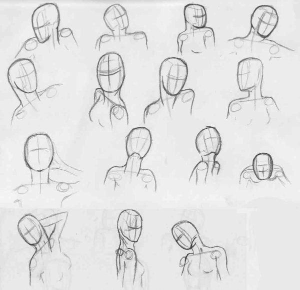 600x581 Head Positions - Head Positions Drawing