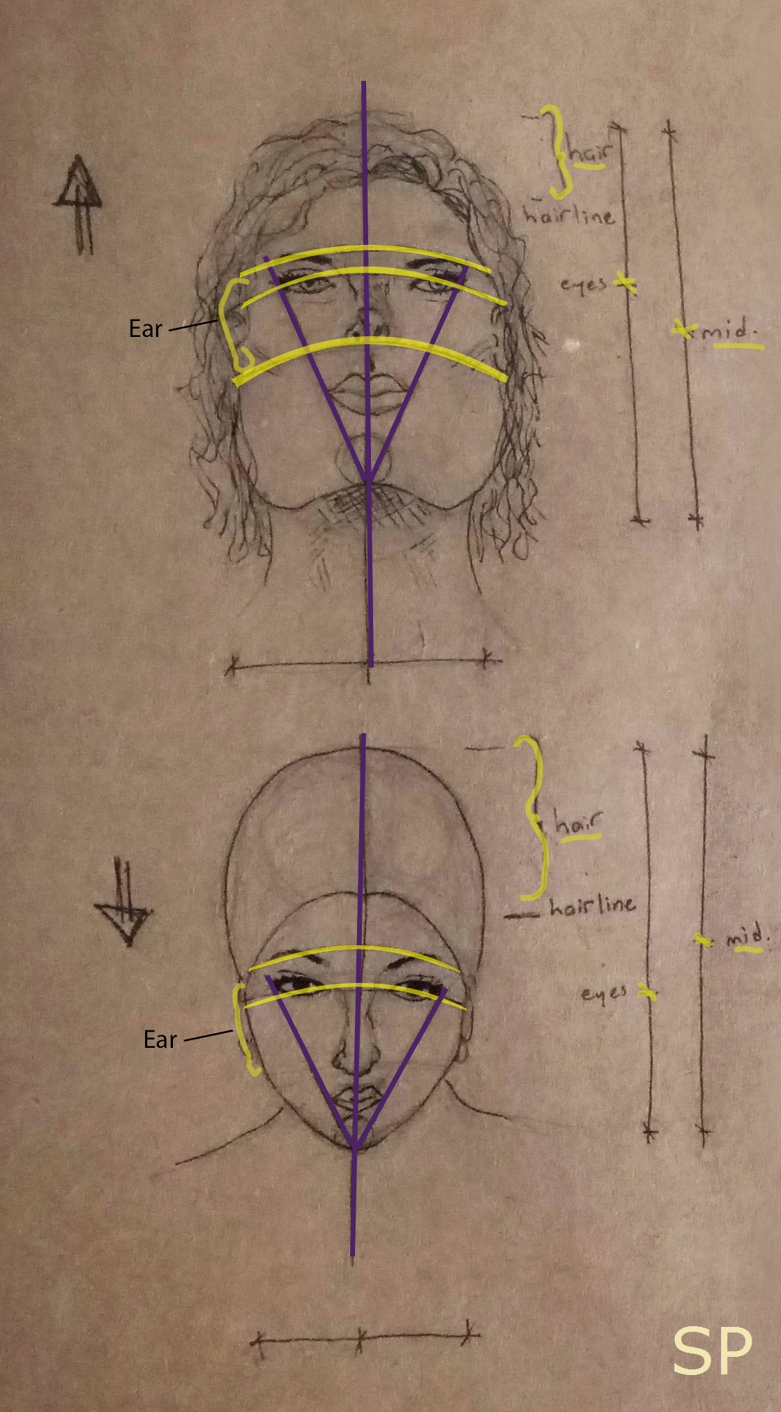 Head Positions Drawing at Explore collection of