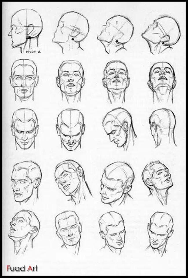 649x960 Headface Positions Drawing Tutorial Drawings, Drawing - Head Positions Drawing