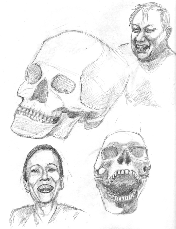 694x900 Learning To Draw Heads Practice And Study With Skulls And Loomis - Head Positions Drawing