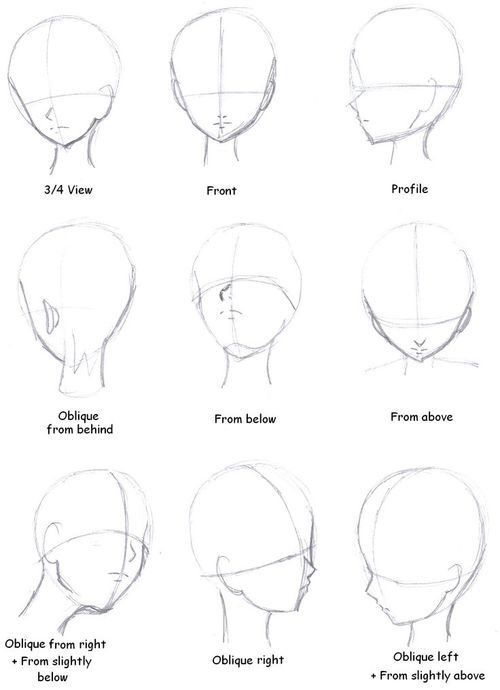 500x690 Anime Head Positions Drawing Room Drawings, Drawing Heads, Art - Head Positions Drawing