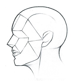 250x275 Sales - Head Positions Drawing
