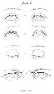 173x300 The Human Head - Head Positions Drawing