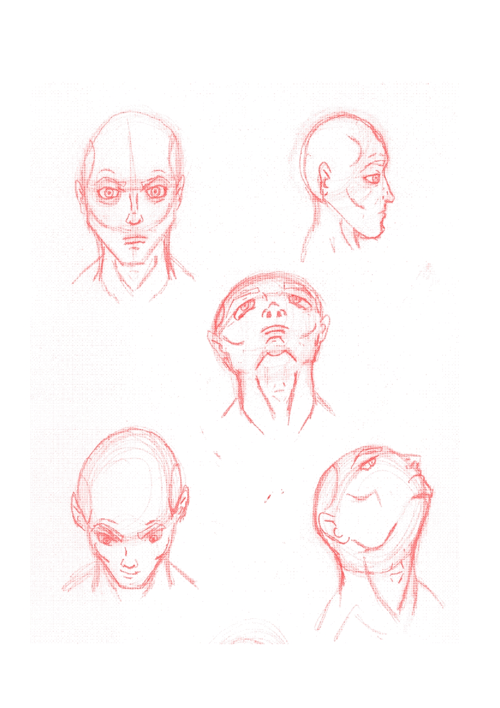 1031x1459 How To Draw For Comics Study Of Different Head Positions - Head Positions Drawing