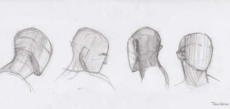 750x356 Tania Henderson Basic Head Shape - Head Shape Drawing