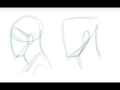 480x360 Tips On Drawing The Basic Gesture And Shape Of The Head - Head Shape Drawing