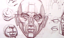 222x131 drawing the structure of the head new masters academy - Head Structure Drawing