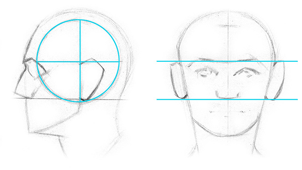 600x338 how to draw ears anatomy and structure proko - Head Structure Drawing