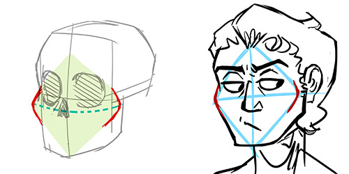 500x250 Head Drawing Tutorial Tumblr - Head Structure Drawing