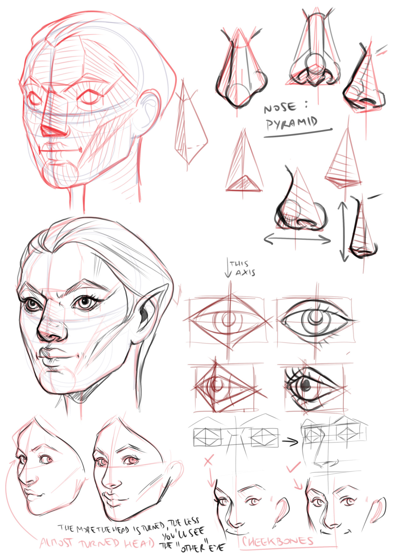 1280x1811 Noctuaalba Draws Hi! I'm Struggling With Drawing Heads - Head Structure Drawing