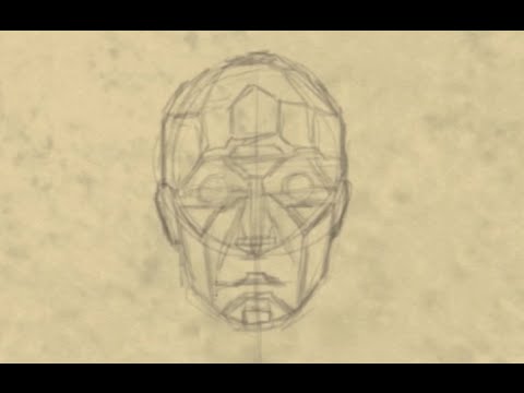 480x360 beginner tips for drawing the structure of the head and neck - Head Structure Drawing