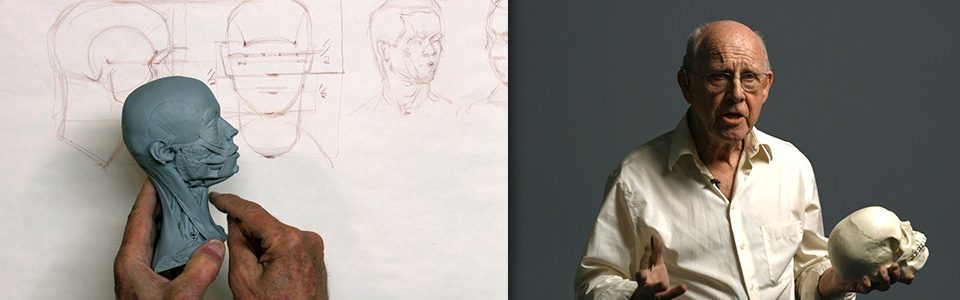 960x300 Constructive Head Drawing Week Introduction To Skull - Head Structure Drawing