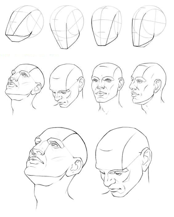 Head Structure Drawing at PaintingValley.com | Explore collection of ...
