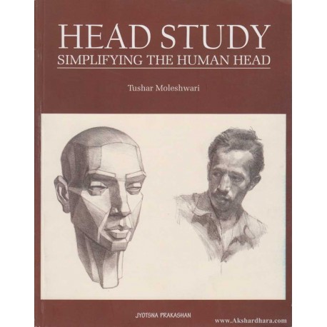 458x458 Head Study Simplifying The Human Head - Head Study Drawing