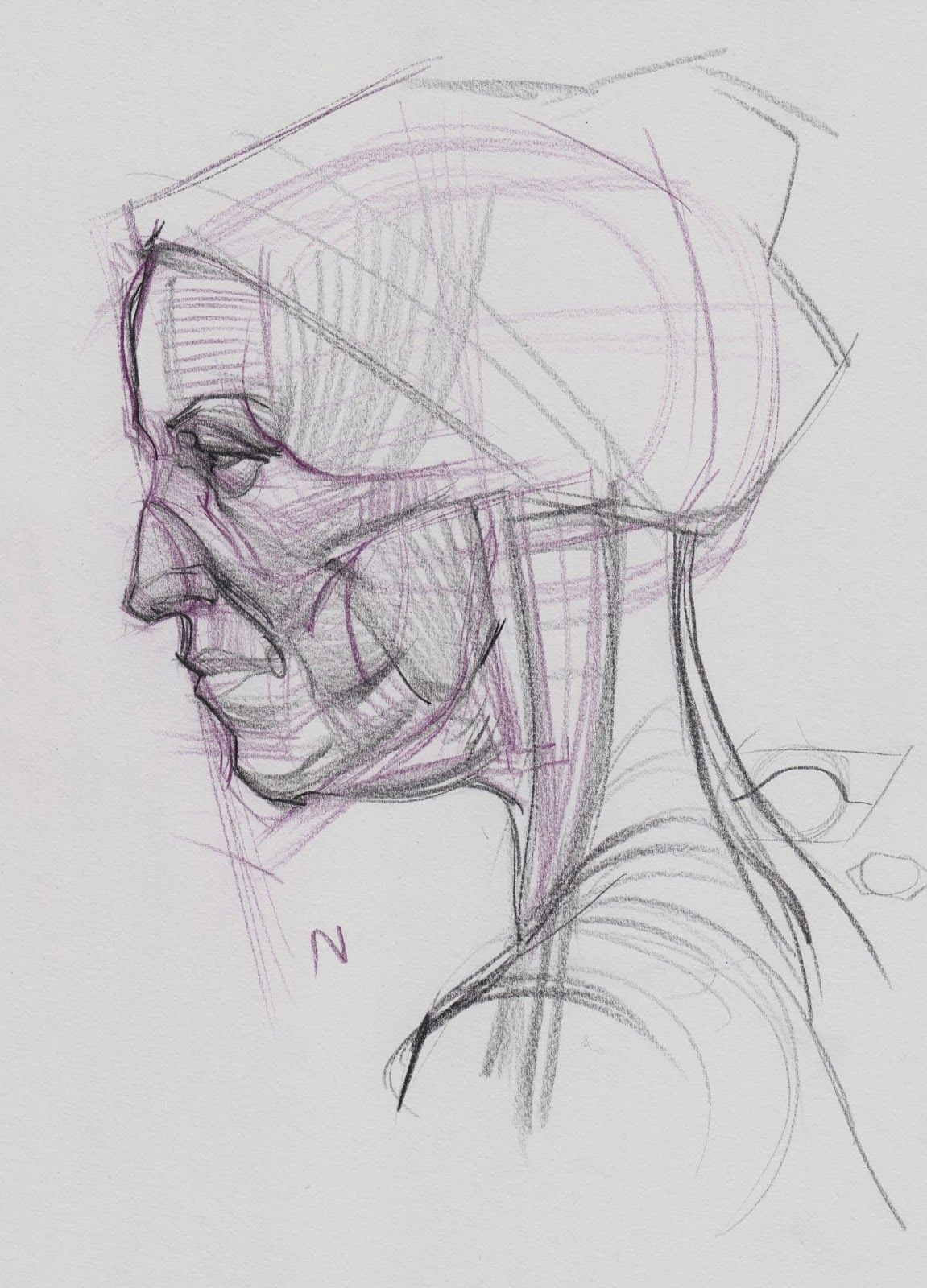 1151x1600 News Head Studies Expressionsfaces - Head Study Drawing