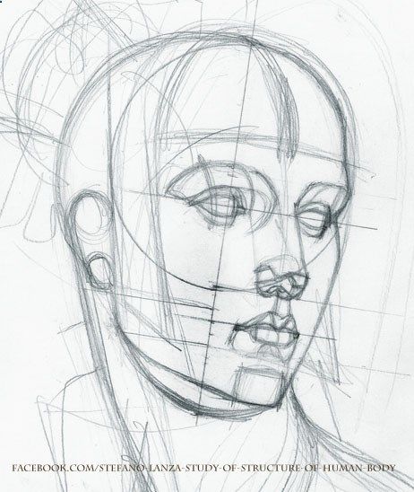 462x548  - Head Study Drawing