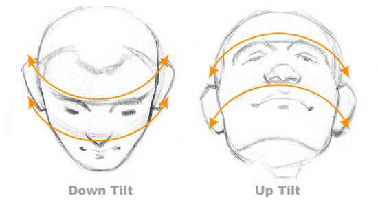 550x298 How To Draw Ears Stan Prokopenko's Blog - Head Tilted Back Drawing