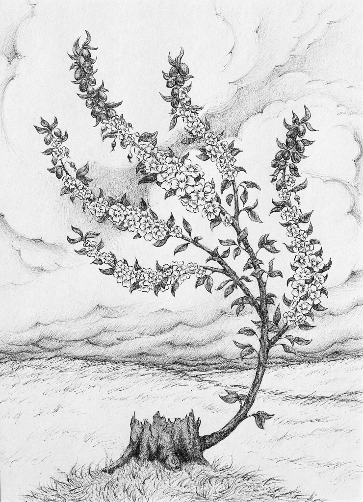 740x1024 spiritual healing art image christian healing god's love - Healing Drawing