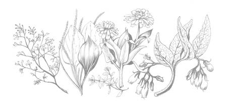 450x216 stunning healing drawings and illustrations for sale on fine art - Healing Drawing