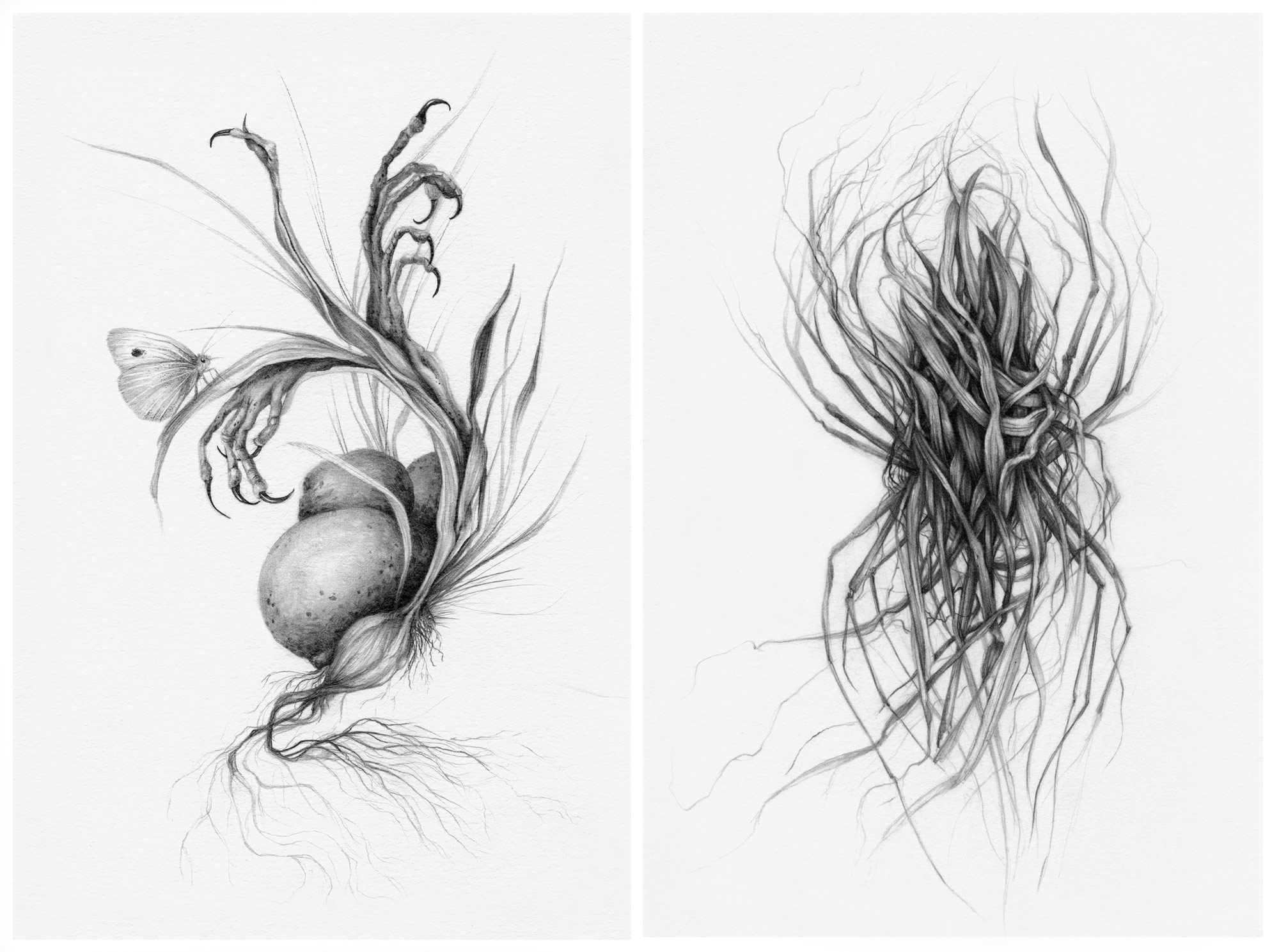 2000x1490 haunted bodies a collection of new hybrid drawings about healing - Healing Drawing