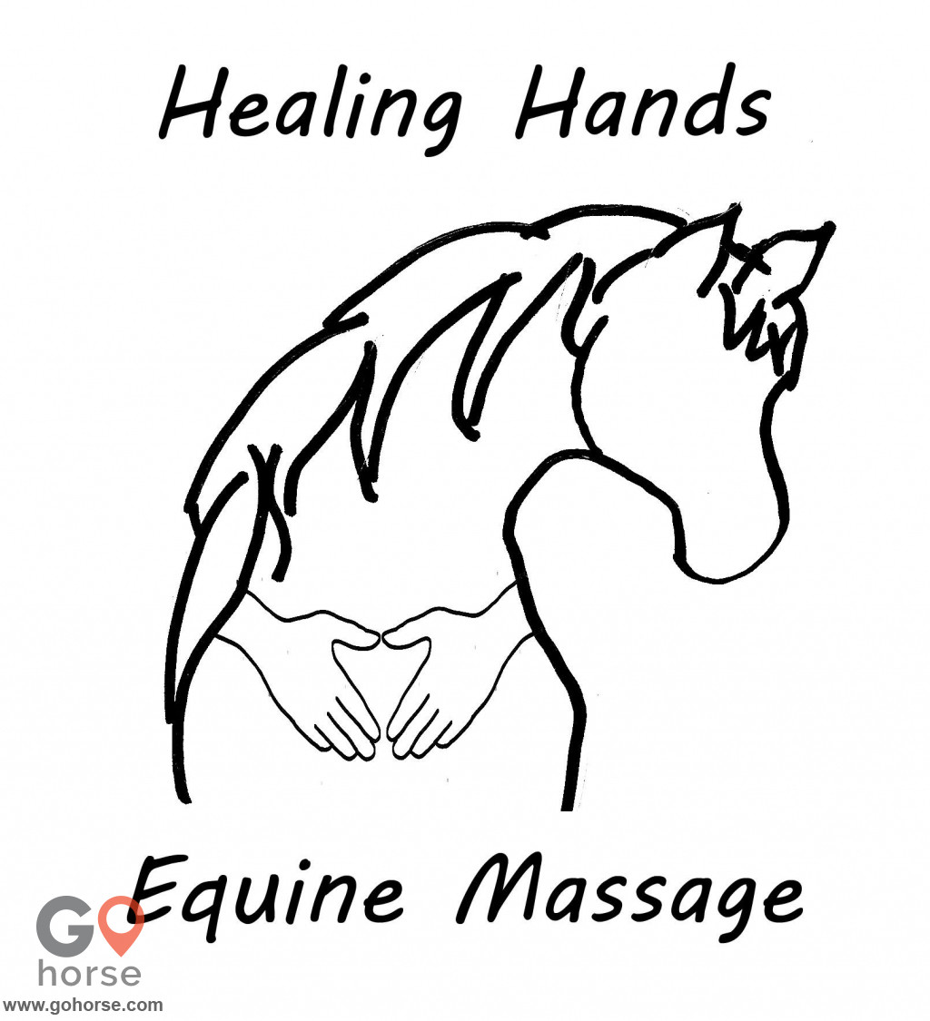 1024x1125 gohorse healing hands equine massage of michigan a horse - Healing Hands Drawing