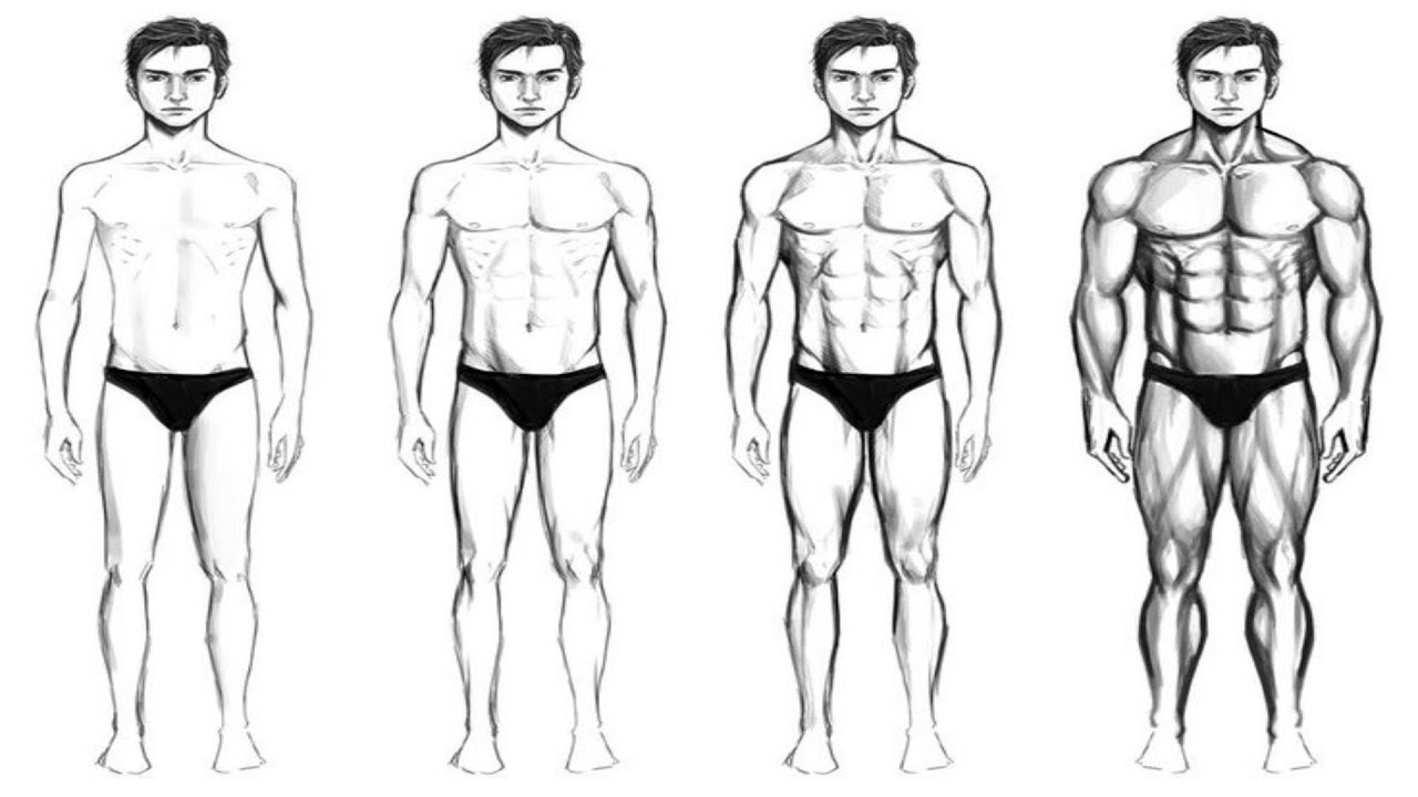1280x720 how to get healthy body from thin body - Healthy Body Drawing