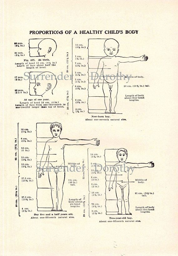 570x818 proportions of a healthy child's body edwardian era drawing - Healthy Body Drawing