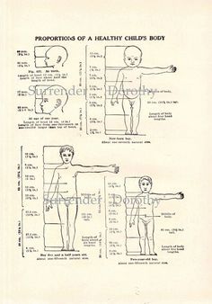 236x338 proportions of a healthy child's body edwardian era medical - Healthy Body Drawing
